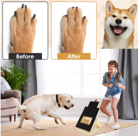 Interactive Treat Puzzle for Dogs